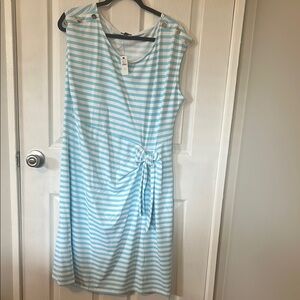 NWT Talbots Blue and White Striped Dress